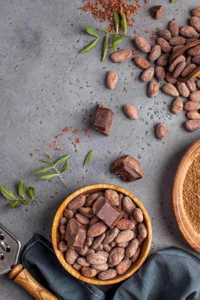 灰色背景上是可可豆，可可粉，生巧克力。健康饮食的概念。副本的空间。图片下载