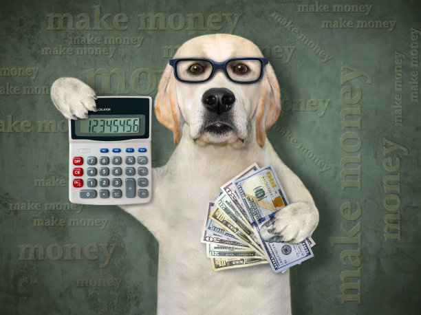 狗持有美元和计算器2图片下载
