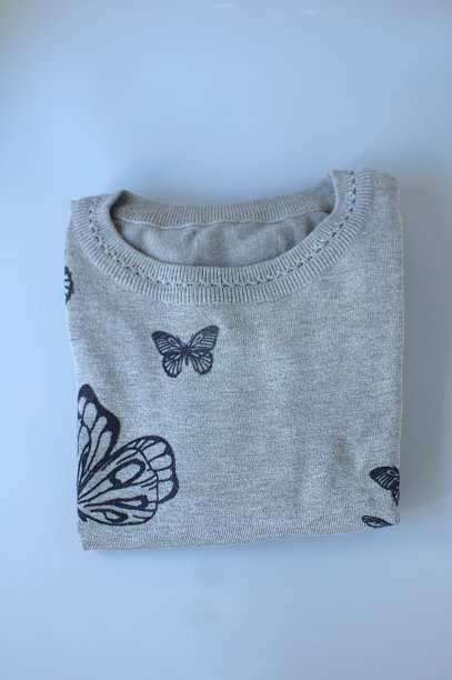 灰色女人的带蓝色蝴蝶的套头衫图片下载