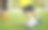 小男孩在训练场上穿着黄色的足球运动服追着球跑。孩子在练习中提高运球技巧图片下载