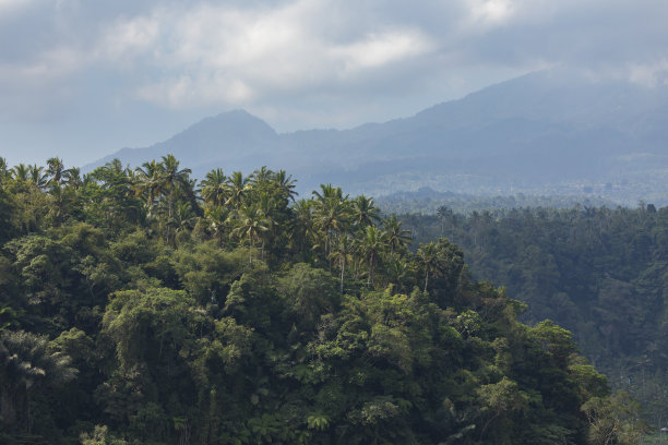 阿贡火山和雨林，巴厘岛，印度尼西亚。图片下载