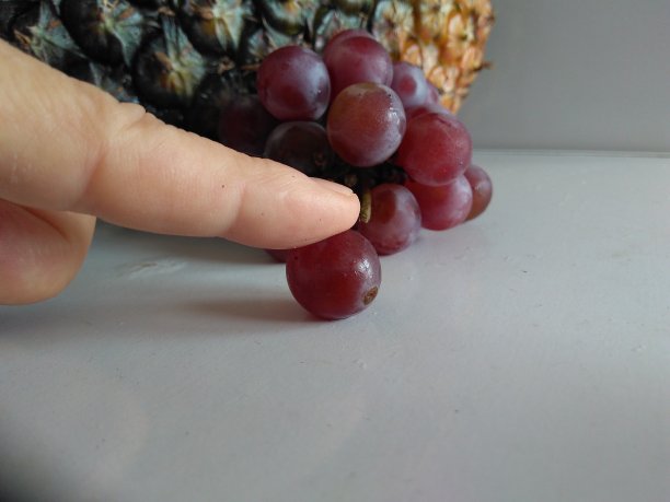 手指上。葡萄图片下载