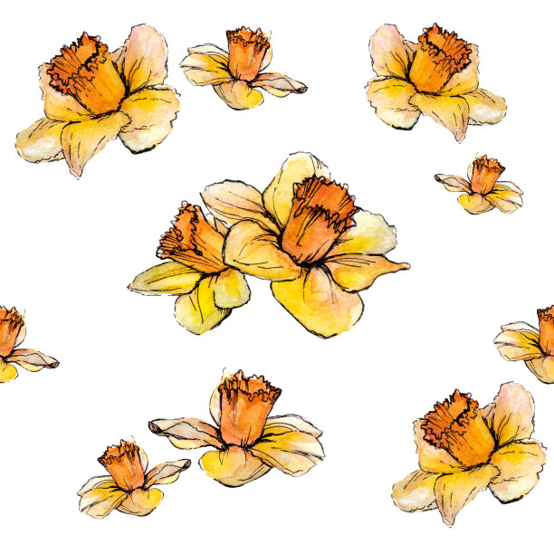 无缝水彩图案与美丽的水仙花。手绘植物背景。壁纸、图案、织物、纺织品、卡片等花卉图案。图片下载