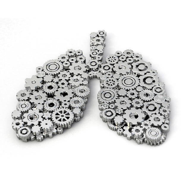 肺由齿轮组成。由齿轮制成的肺。机制概念3d插图。图片下载