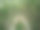 森林中央那条路的背景。图片下载