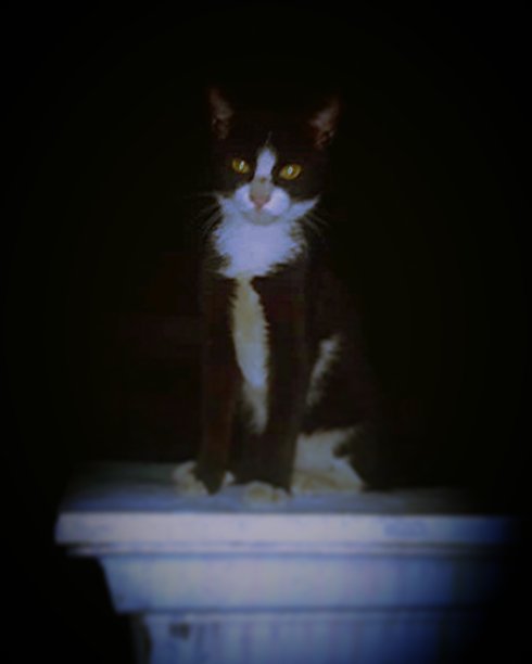 激烈的黑色图片下载