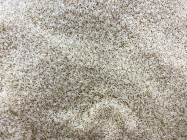 白米粒结构图片下载