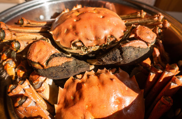 清蒸大闸蟹图片下载