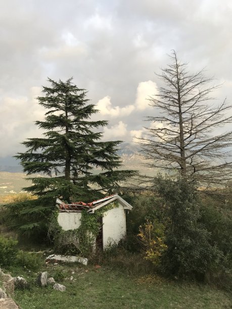 自然的对比图片下载