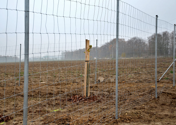 事故，攻击，生物，咬，野猪，边境，汽车，建筑，角落，走廊，碰撞，鹿，经济，篱笆，围栏，田野，林业，镀锌，大门，灰色，野兔，公路，安装，安装，倾斜，网格，自然，新，苗圃，管道，植物，种植，种植，图片下载