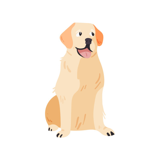 拉布拉多寻回犬孤立在白色矢量插图。图片下载