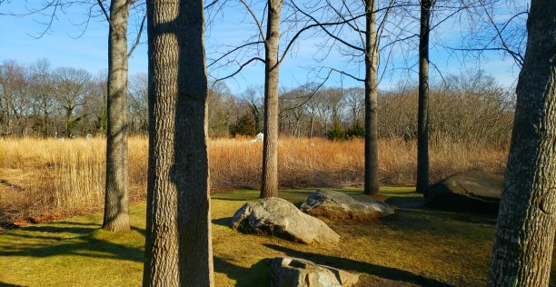 秋天的阳光图片下载