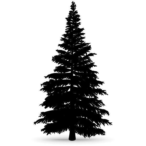 森林中的一棵大树。图片下载