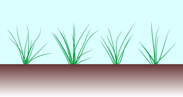 草植物插图图片下载
