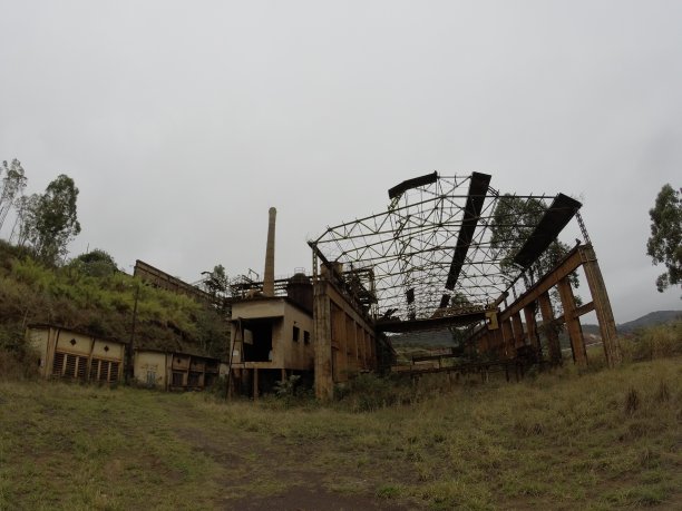 米盖尔·伯尼图片下载