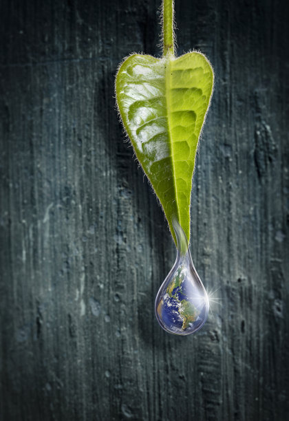 一滴水流下一片绿叶，映照着地球图片下载