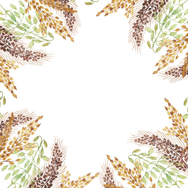水彩手绘自然谷物田方形边框与棕色，金色和绿色的谷物树枝组成在白色背景邀请和问候卡与文字空间图片下载