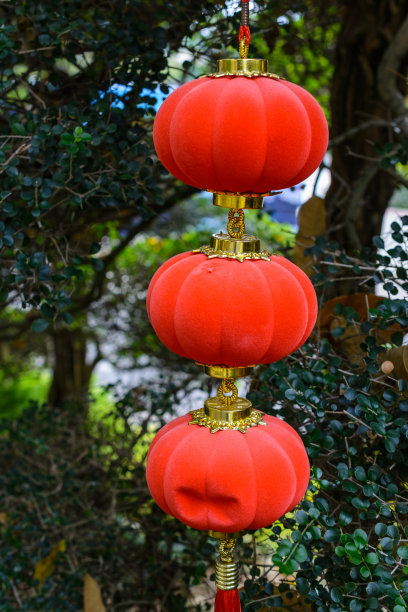 阴天，三亚街头五彩缤纷的春节传统灯笼。图片下载