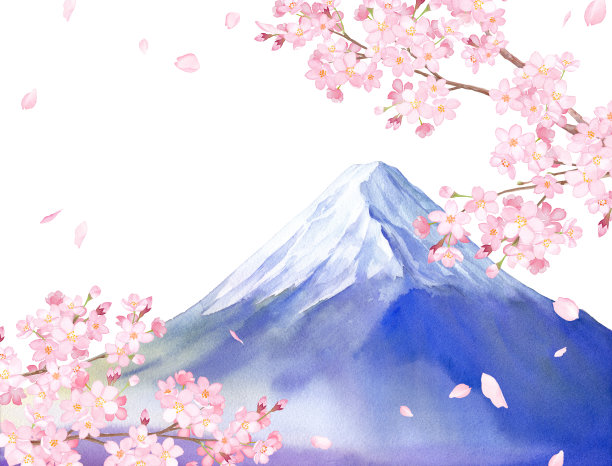 日本春天的风景。观赏樱花和富士山。水彩插图上的白色背景。图片下载