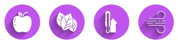 设置苹果叶或树叶气象温度计图片下载