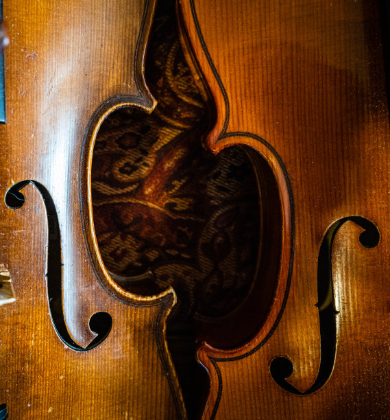两个小提琴图片下载