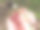 孩子们胖乎乎的小手，掌心握着一把樱桃色的小枝图片下载
