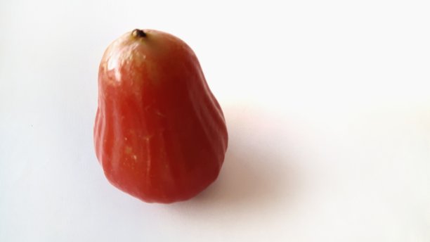 春浦(玫瑰苹果)孤立在白色背景上。图片下载