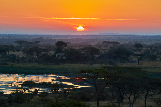 坦桑尼亚塞伦盖蒂平原的日出图片下载