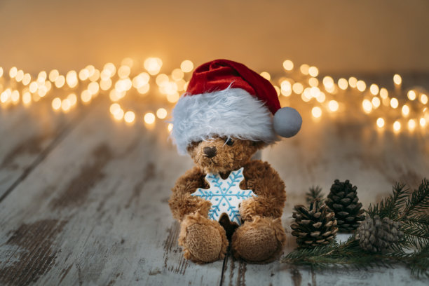 泰迪的背景图片下载