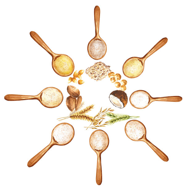 水彩勺子与面粉类型，在白色的背景。水彩画插图食物。图片下载