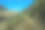 山间松树间的高山小径图片下载