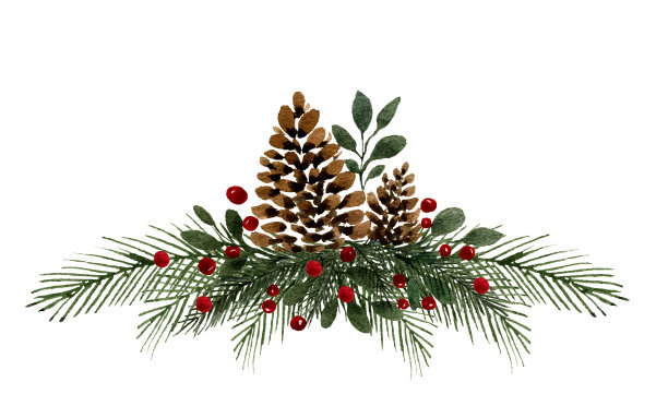 水彩松果装饰圣诞节，优雅的圣诞插画松果，冷杉树枝和浆果孤立在白色图片下载