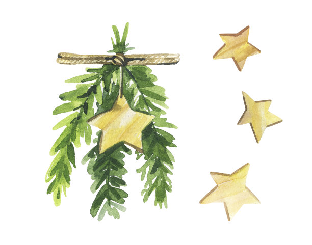 水彩圣诞花束。为你的假日设计的插图孤立在白色的背景图片下载