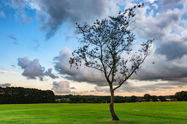 北卡罗来纳州罗利市图片下载