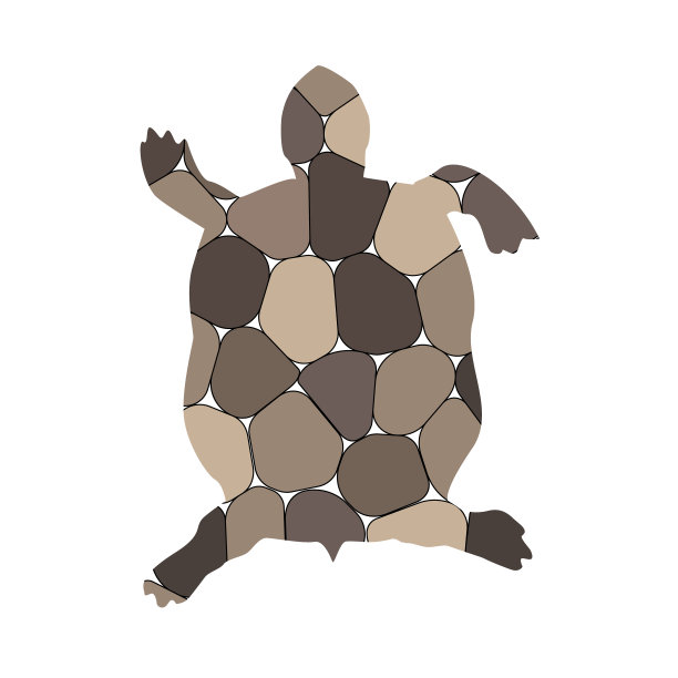 轮廓的乌龟图片下载