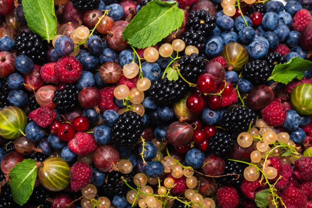 醋栗、蓝莓、桑椹、覆盆子、白加仑子和红加仑子。图片下载