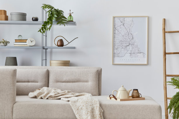 斯堪的纳维亚室内时尚的沙发，设计家具，书柜，植物，装饰，海报地图和优雅的个人配件。经典住宅中的中性客厅。模板。图片下载
