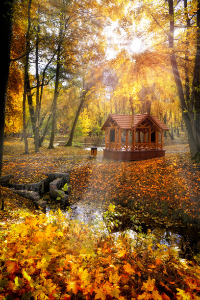 一个阳光明媚的秋日，在城市公园野餐区图片下载