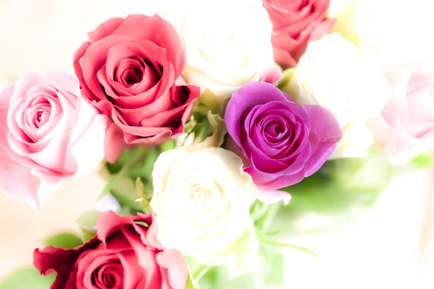 花瓶中的玫瑰图片下载