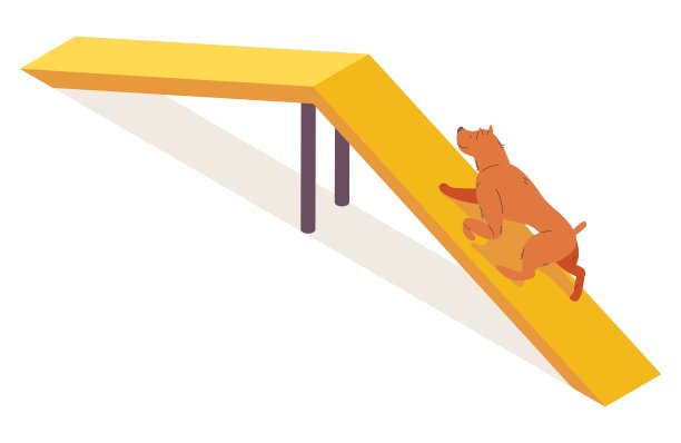 等距狗爬骆驼驼峰敏捷设备。生姜幼犬性状孤立在白色上图片下载