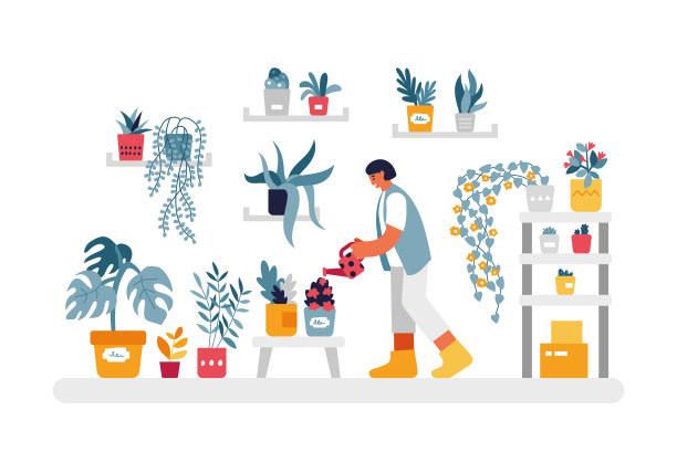 女人在家浇水植物插图。女性人物用红色的罐子浇花和灌木架。图片下载
