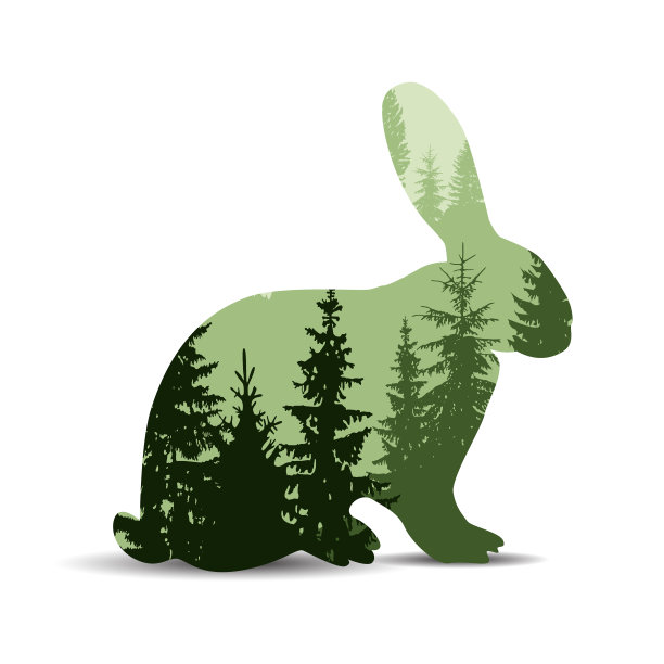 坐野兔的剪影图片下载