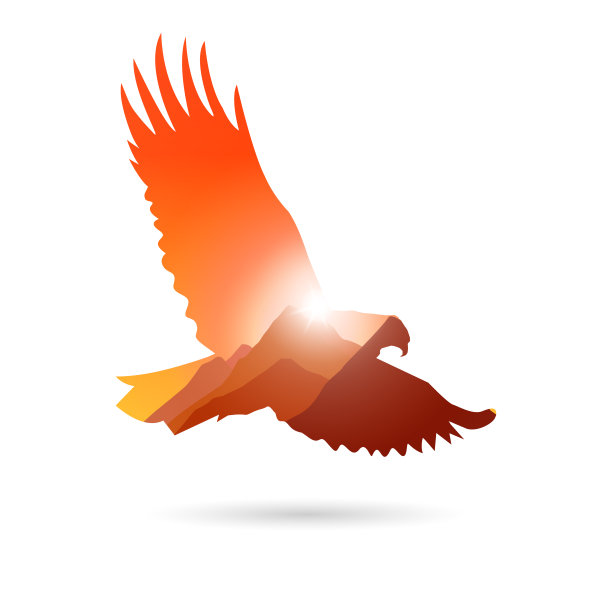 轮廓的鹰图片下载