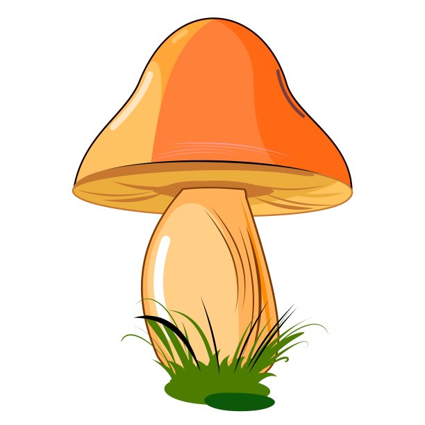 蘑菇。孤立在白色背景上。可爱的卡通风格。美丽的插图。与草。向量图片下载