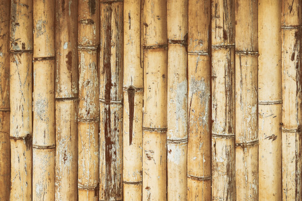 干竹纹理恰好垂直直墙地板灯。生态自然背景概念。黄竹栅栏纹理背景图片下载