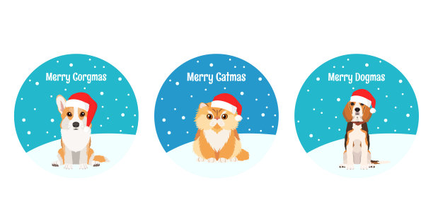 圣诞舞会形式的圣诞贺卡。戴圣诞帽的宠物有:波斯猫、比格犬和彭布罗克威尔士柯基。图片下载