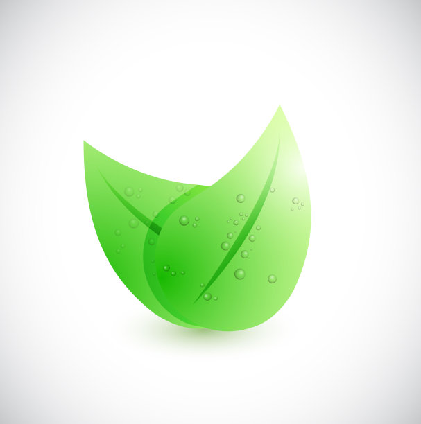 水和树叶的插画设计图片下载