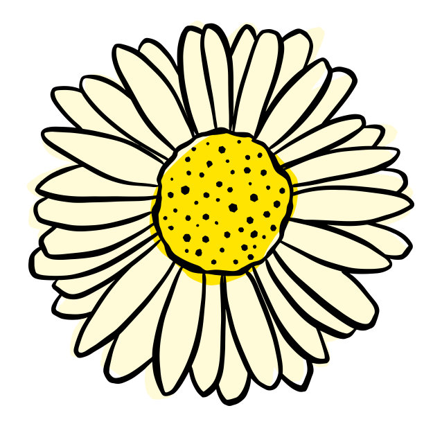 花的图标毛茛，雏菊，蒲公英等图片下载