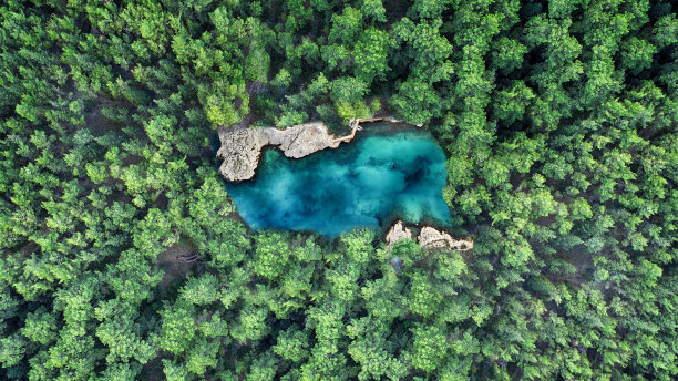 森林中央一个小池塘的鸟瞰图图片下载