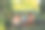 快乐的孩子们和妈妈一起在公园里绿树成荫的沙箱里玩耍，作为大家庭的生活方式，象征着快乐的童年图片下载